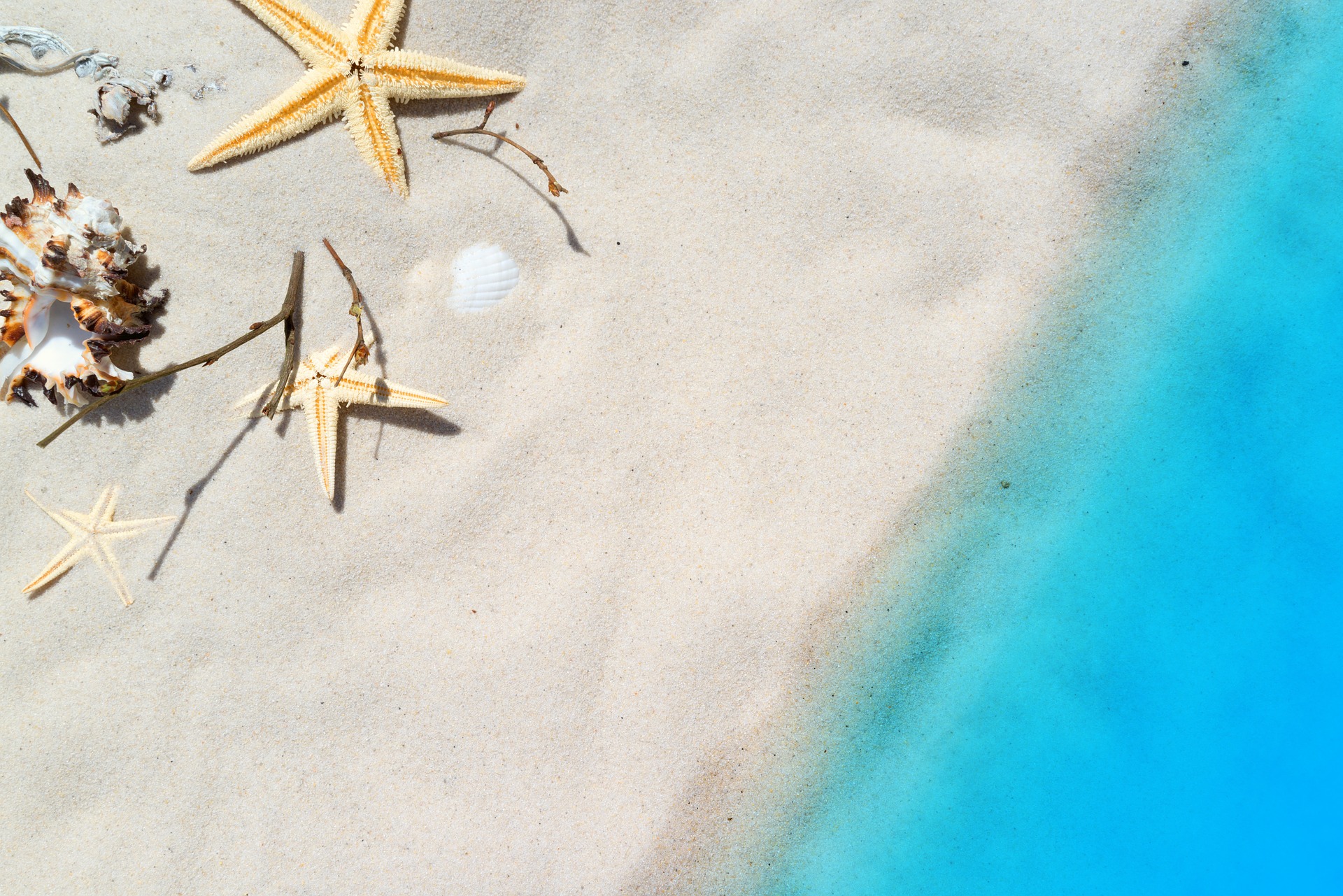 Conheça as mais lindas praias brasileiras a partir de R$: 147,80 por pessoa